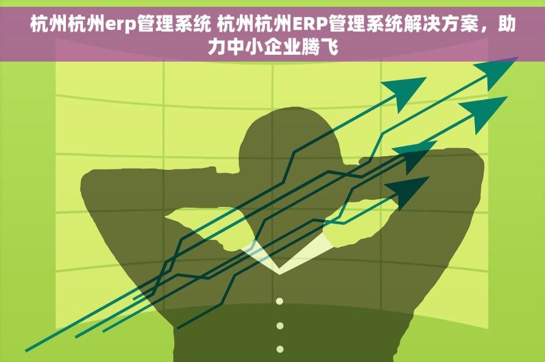 杭州杭州erp管理系统 杭州杭州ERP管理系统解决方案，助力中小企业腾飞