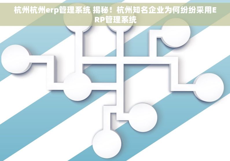 杭州杭州erp管理系统 揭秘！杭州知名企业为何纷纷采用ERP管理系统
