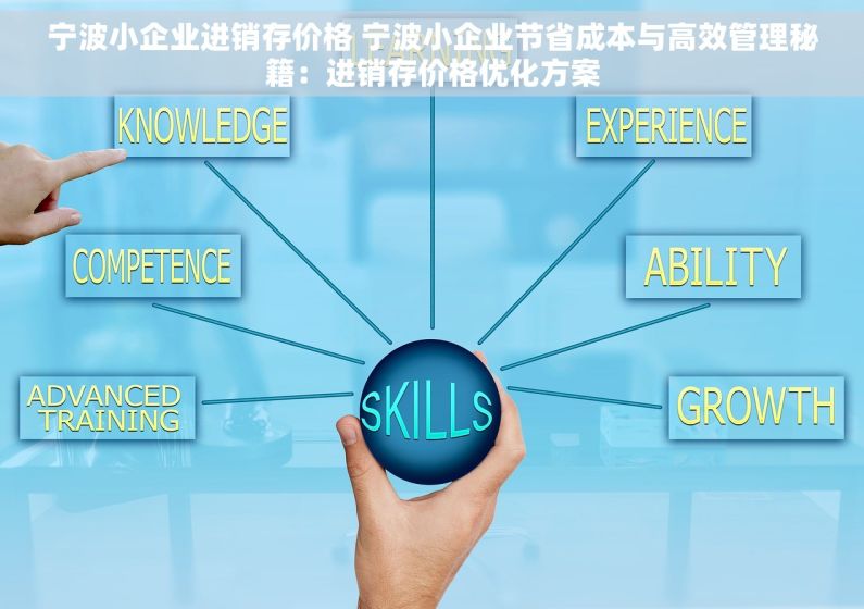宁波小企业进销存价格 宁波小企业节省成本与高效管理秘籍：进销存价格优化方案