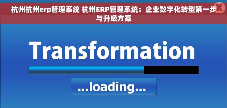 杭州杭州erp管理系统 杭州ERP管理系统：企业数字化转型第一步与升级方案