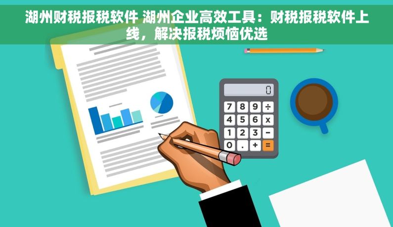 湖州财税报税软件 湖州企业高效工具：财税报税软件上线，解决报税烦恼优选
