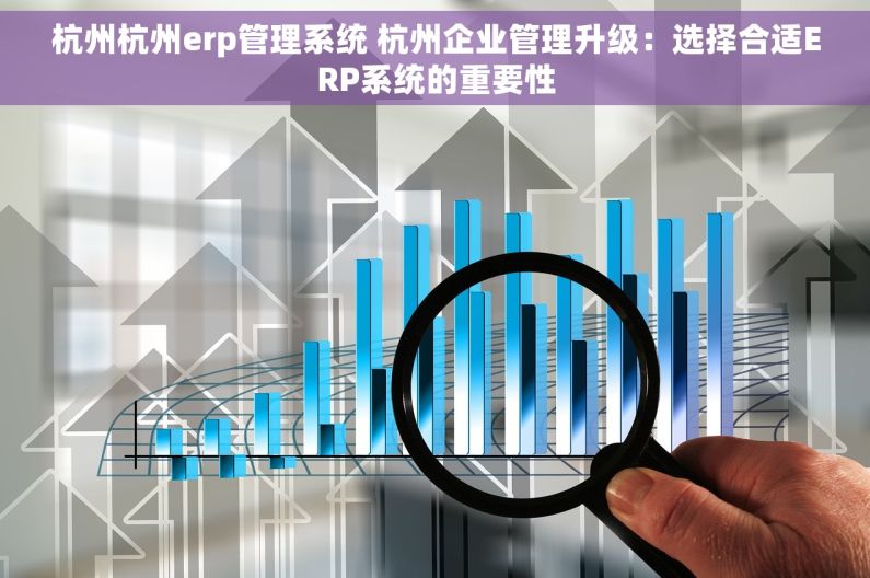杭州杭州erp管理系统 杭州企业管理升级：选择合适ERP系统的重要性