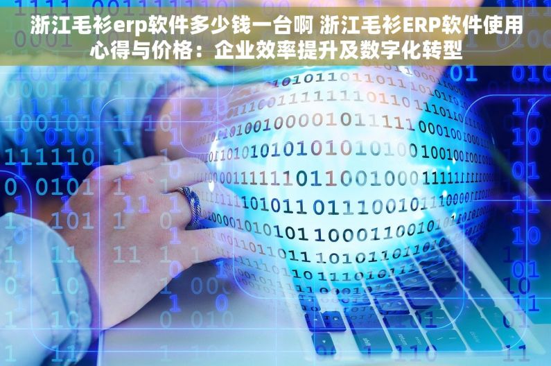 浙江毛衫erp软件多少钱一台啊 浙江毛衫ERP软件使用心得与价格：企业效率提升及数字化转型