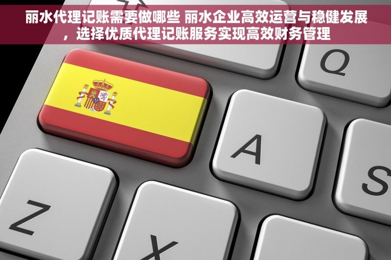 丽水代理记账需要做哪些 丽水企业高效运营与稳健发展，选择优质代理记账服务实现高效财务管理