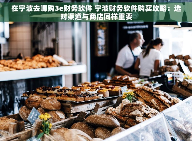 在宁波去哪购3e财务软件 宁波财务软件购买攻略：选对渠道与商店同样重要