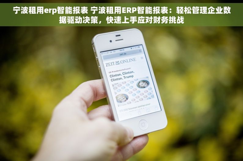宁波租用erp智能报表 宁波租用ERP智能报表：轻松管理企业数据驱动决策，快速上手应对财务挑战