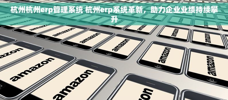 杭州杭州erp管理系统 杭州erp系统革新，助力企业业绩持续攀升