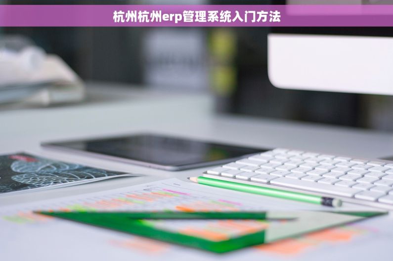 杭州杭州erp管理系统入门方法