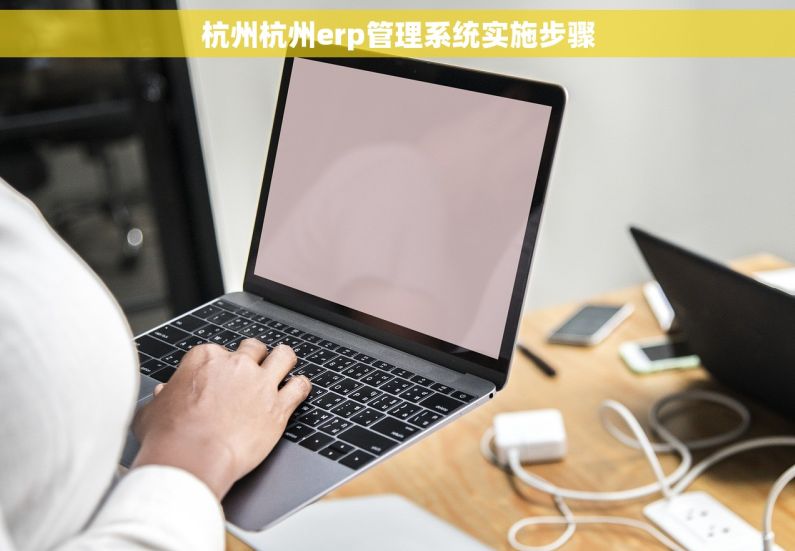 杭州杭州erp管理系统实施步骤