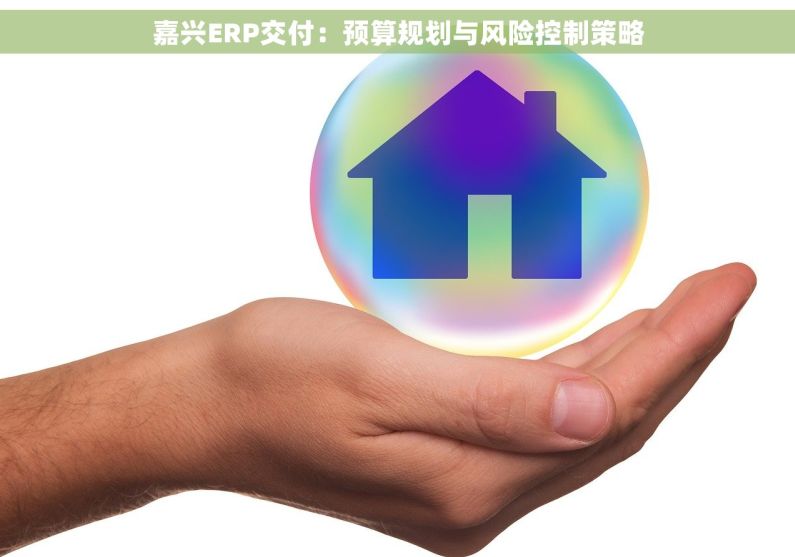 嘉兴ERP交付：预算规划与风险控制策略