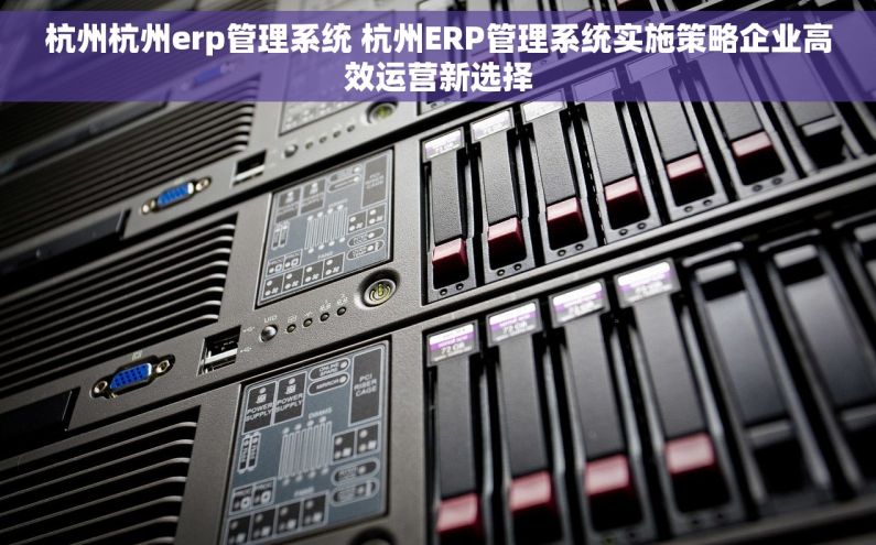 杭州杭州erp管理系统 杭州ERP管理系统实施策略企业高效运营新选择