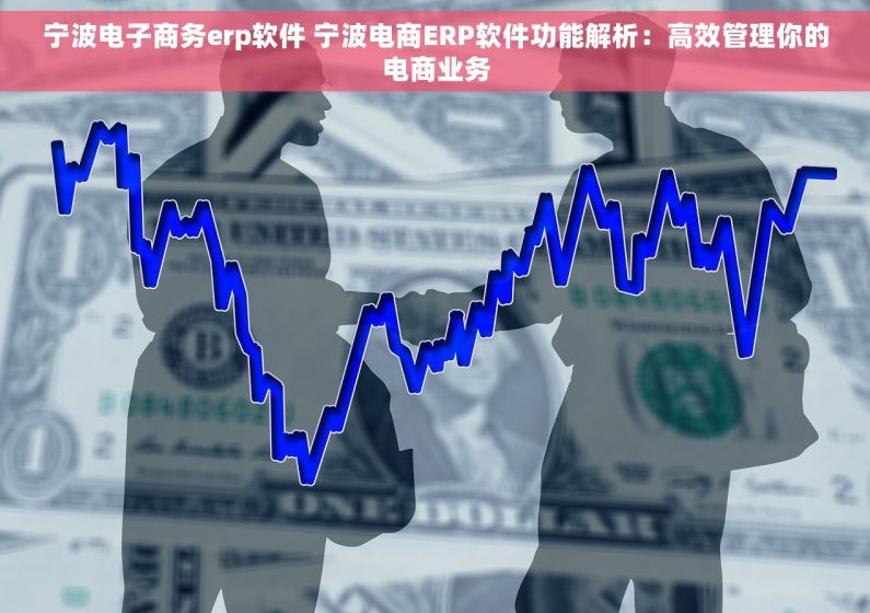 宁波电子商务erp软件 宁波电商ERP软件功能解析：高效管理你的电商业务