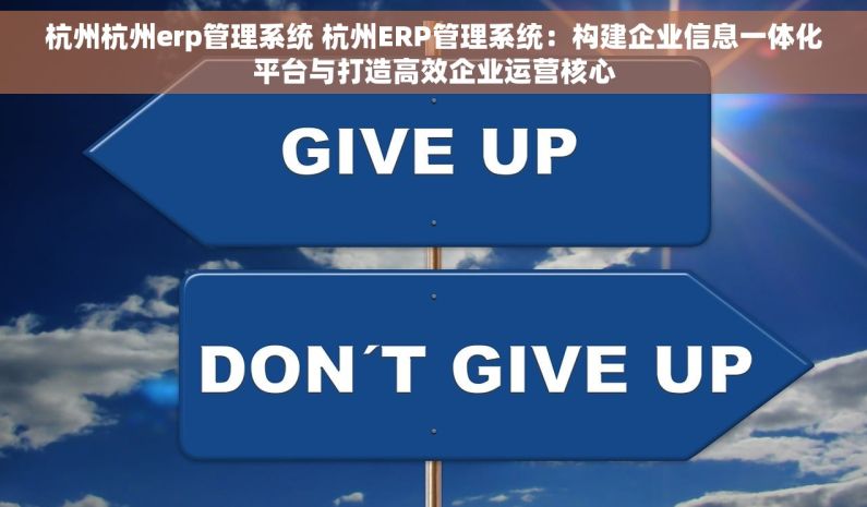 杭州杭州erp管理系统 杭州ERP管理系统：构建企业信息一体化平台与打造高效企业运营核心