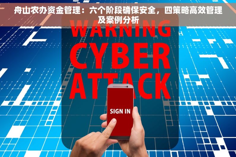 舟山农办资金管理：六个阶段确保安全，四策略高效管理及案例分析