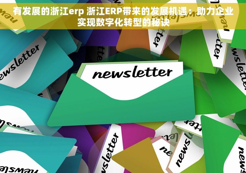 有发展的浙江erp 浙江ERP带来的发展机遇：助力企业实现数字化转型的秘诀