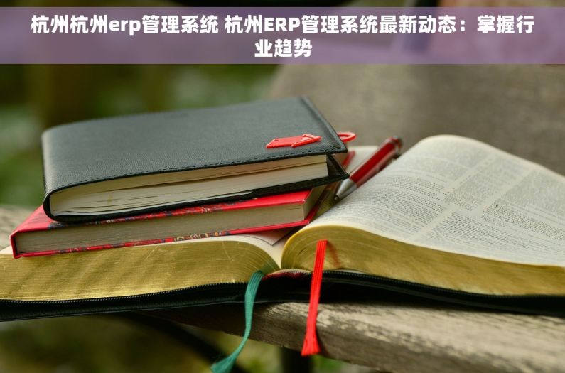 杭州杭州erp管理系统 杭州ERP管理系统最新动态：掌握行业趋势