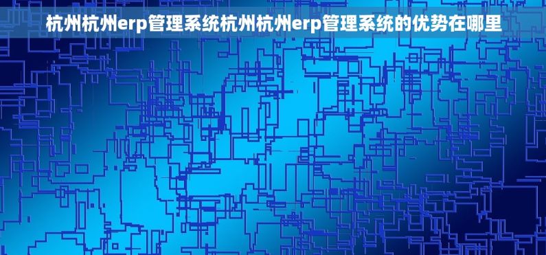 杭州杭州erp管理系统杭州杭州erp管理系统的优势在哪里