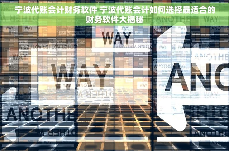 宁波代账会计财务软件 宁波代账会计如何选择最适合的财务软件大揭秘