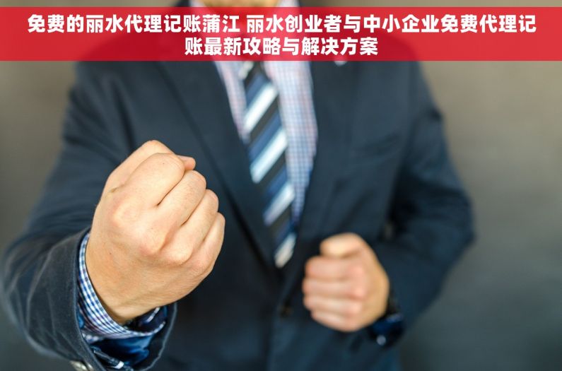 免费的丽水代理记账蒲江 丽水创业者与中小企业免费代理记账最新攻略与解决方案