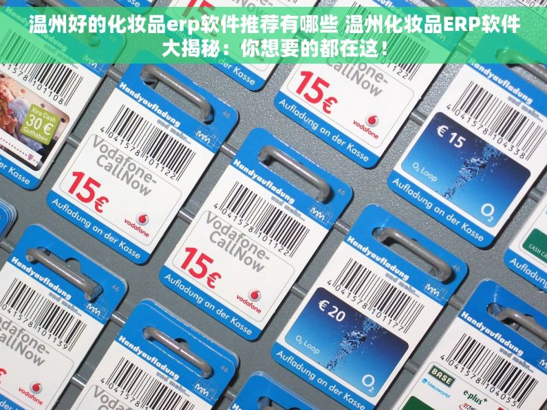 温州好的化妆品erp软件推荐有哪些 温州化妆品ERP软件大揭秘：你想要的都在这！