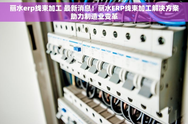 丽水erp线束加工 最新消息！丽水ERP线束加工解决方案助力制造业变革