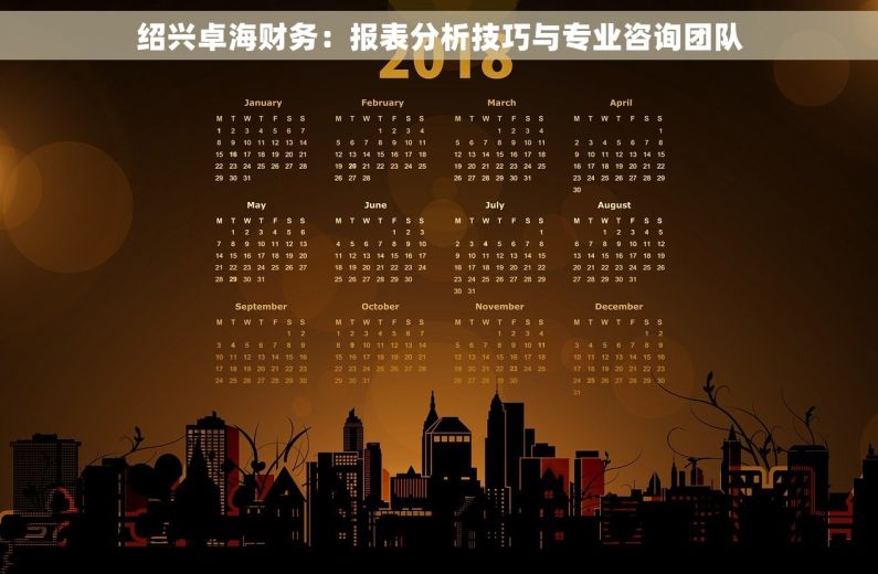 绍兴卓海财务：报表分析技巧与专业咨询团队