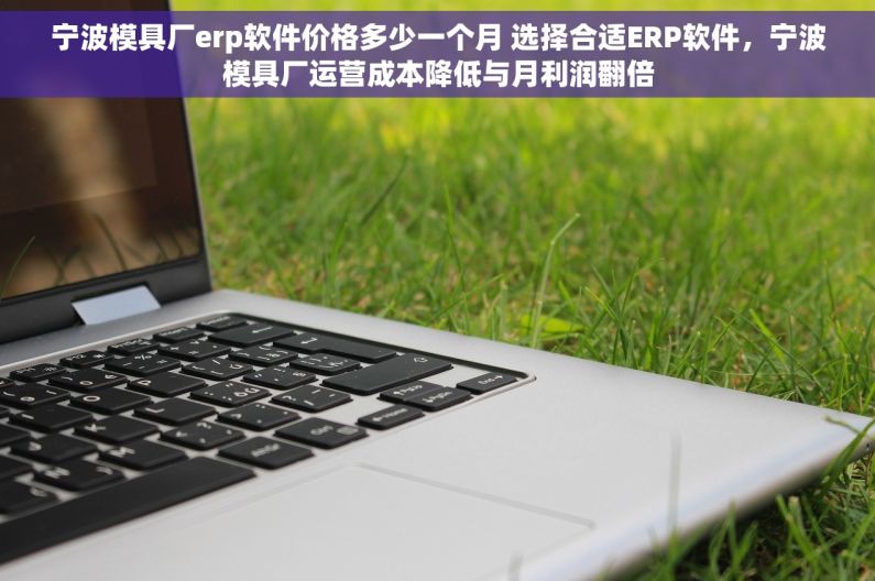 宁波模具厂erp软件价格多少一个月 选择合适ERP软件，宁波模具厂运营成本降低与月利润翻倍