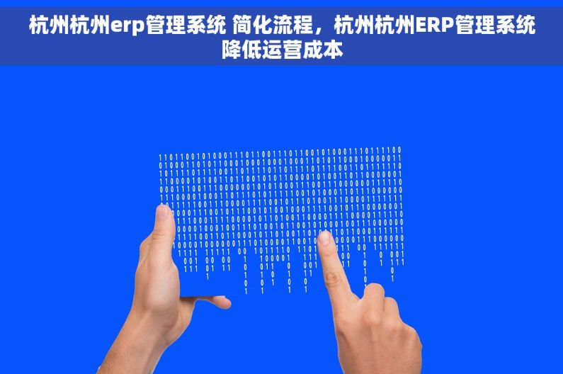 杭州杭州erp管理系统 简化流程，杭州杭州ERP管理系统降低运营成本