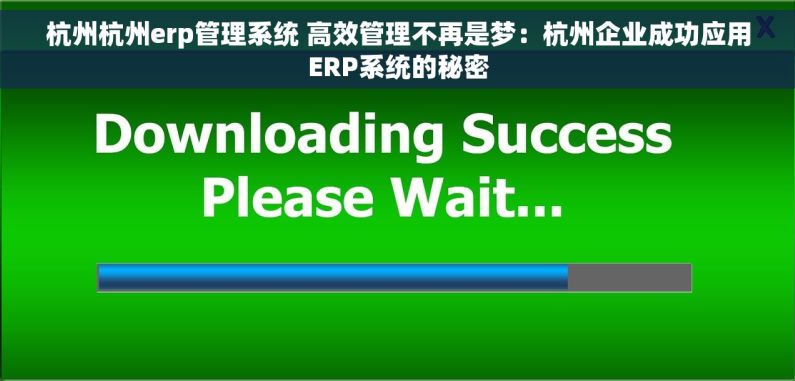 杭州杭州erp管理系统 高效管理不再是梦：杭州企业成功应用ERP系统的秘密