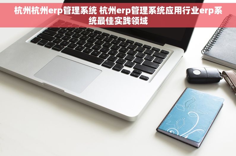 杭州杭州erp管理系统 杭州erp管理系统应用行业erp系统最佳实践领域