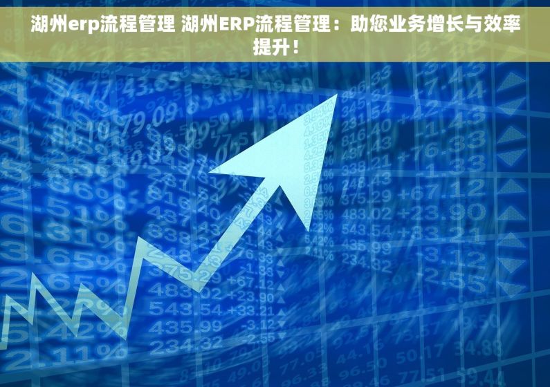 湖州erp流程管理 湖州ERP流程管理：助您业务增长与效率提升！