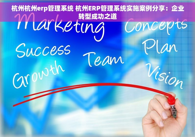杭州杭州erp管理系统 杭州ERP管理系统实施案例分享：企业转型成功之道