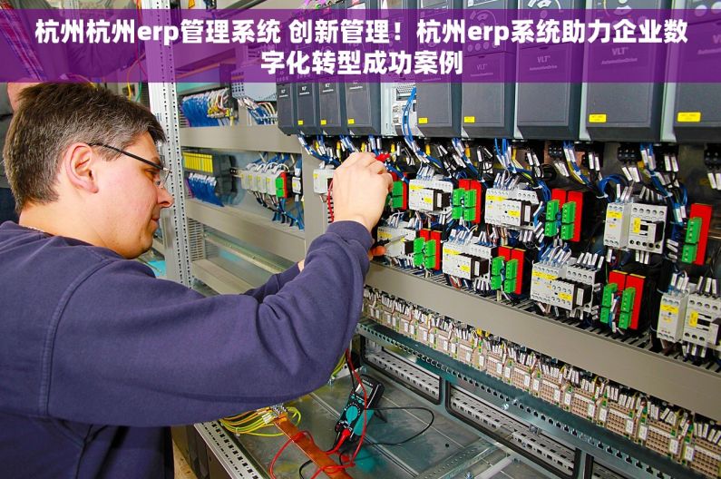 杭州杭州erp管理系统 创新管理！杭州erp系统助力企业数字化转型成功案例