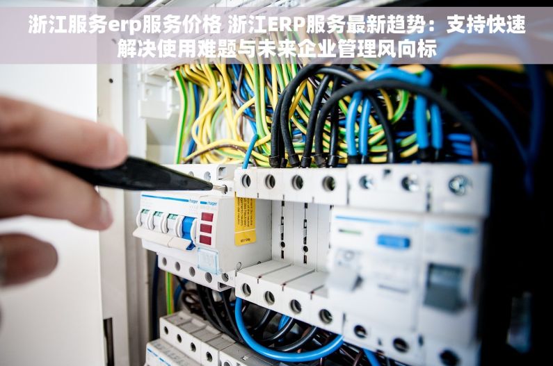 浙江服务erp服务价格 浙江ERP服务最新趋势：支持快速解决使用难题与未来企业管理风向标