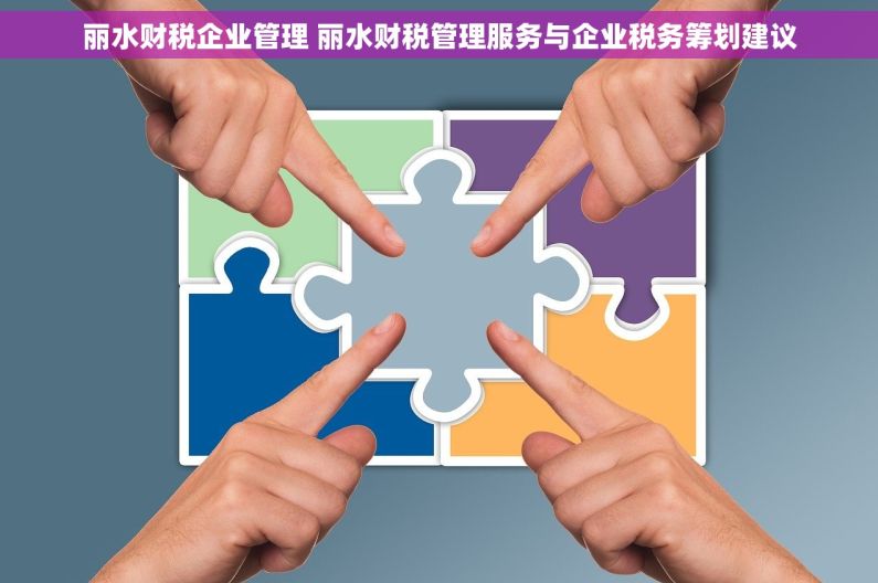 丽水财税企业管理 丽水财税管理服务与企业税务筹划建议