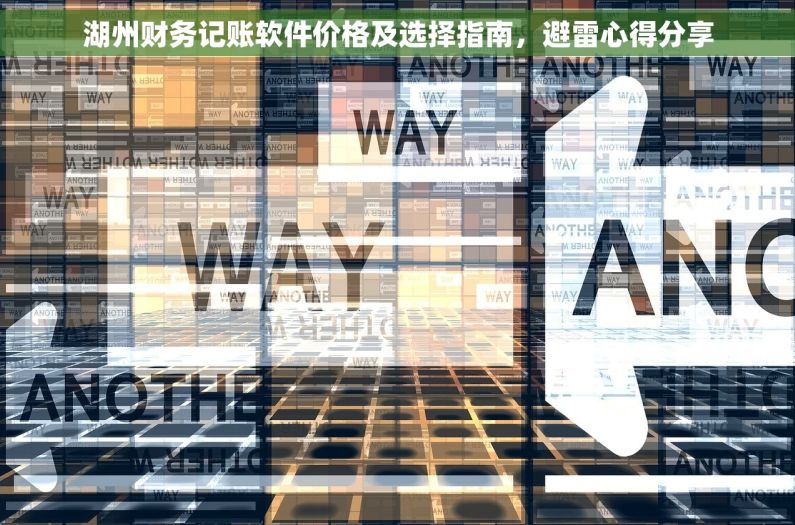 湖州财务记账软件价格及选择指南，避雷心得分享