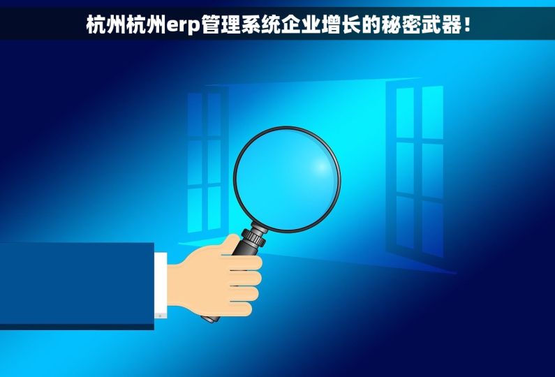 杭州杭州erp管理系统企业增长的秘密武器！