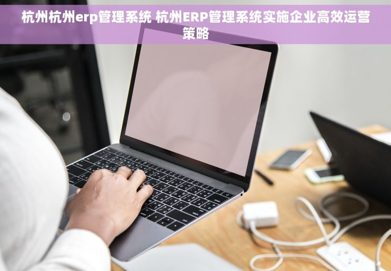 杭州杭州erp管理系统 杭州ERP管理系统实施企业高效运营策略