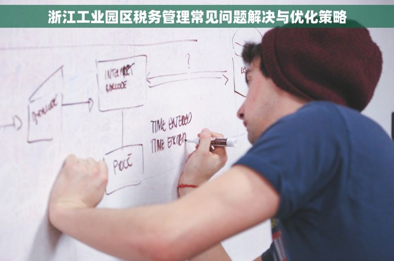 浙江工业园区税务管理常见问题解决与优化策略