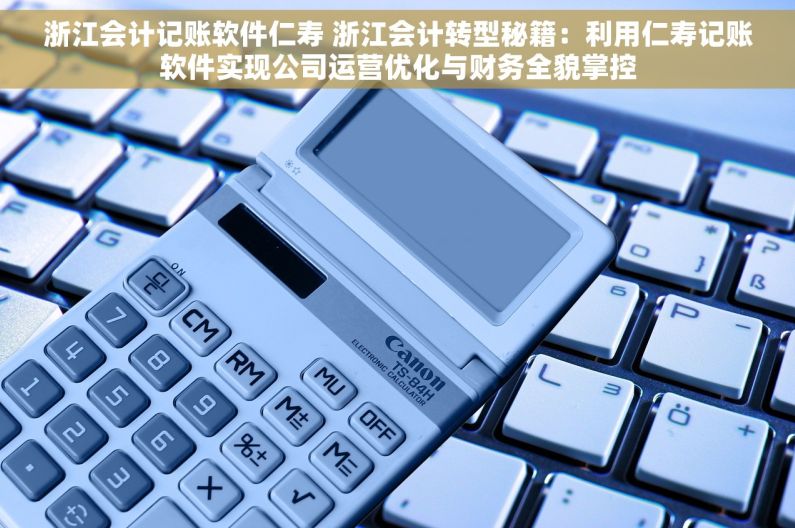 浙江会计记账软件仁寿 浙江会计转型秘籍：利用仁寿记账软件实现公司运营优化与财务全貌掌控