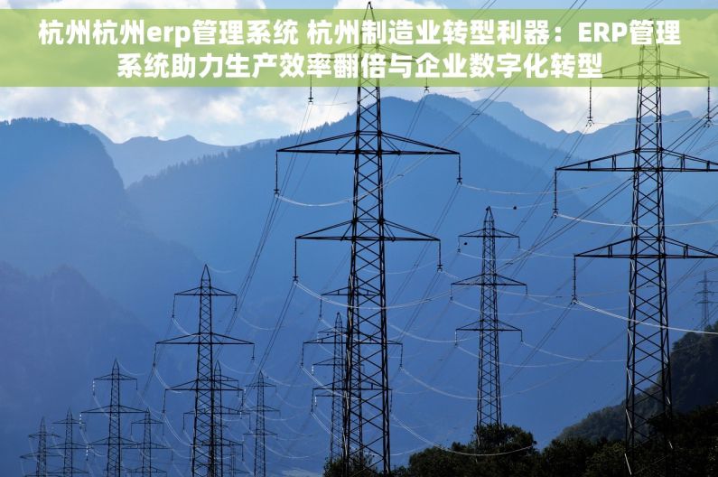 杭州杭州erp管理系统 杭州制造业转型利器：ERP管理系统助力生产效率翻倍与企业数字化转型