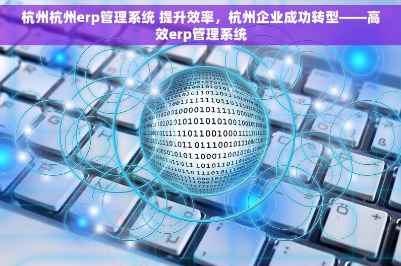 杭州杭州erp管理系统 提升效率，杭州企业成功转型——高效erp管理系统