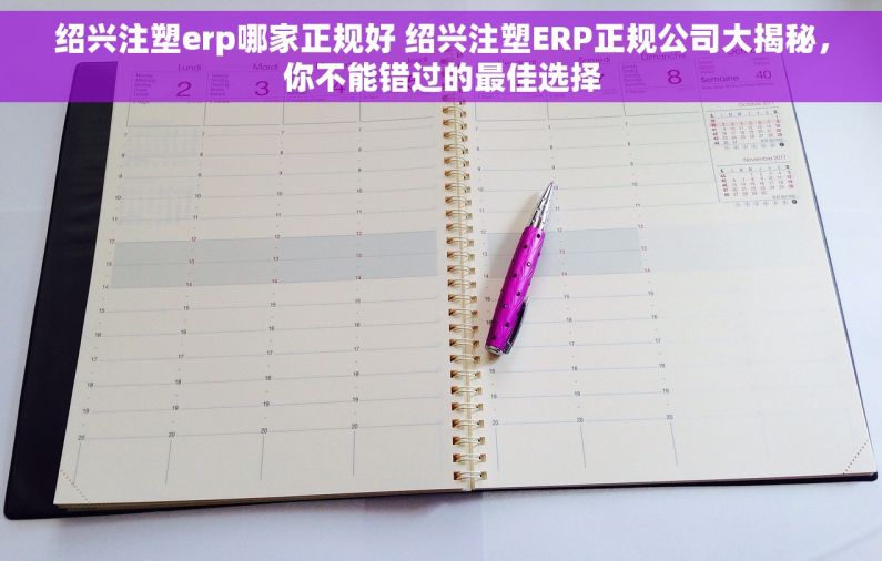 绍兴注塑erp哪家正规好 绍兴注塑ERP正规公司大揭秘，你不能错过的最佳选择