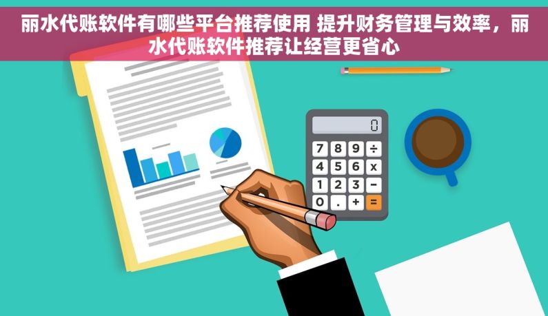 丽水代账软件有哪些平台推荐使用 提升财务管理与效率，丽水代账软件推荐让经营更省心