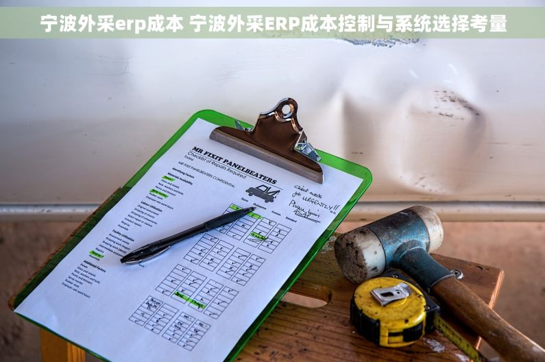 宁波外采erp成本 宁波外采ERP成本控制与系统选择考量
