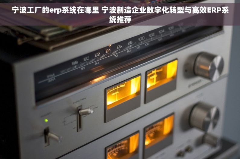 宁波工厂的erp系统在哪里 宁波制造企业数字化转型与高效ERP系统推荐