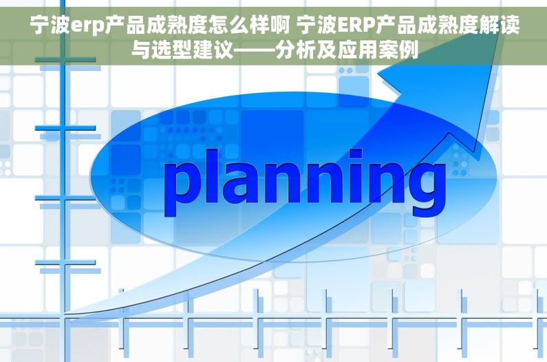 宁波erp产品成熟度怎么样啊 宁波ERP产品成熟度解读与选型建议——分析及应用案例