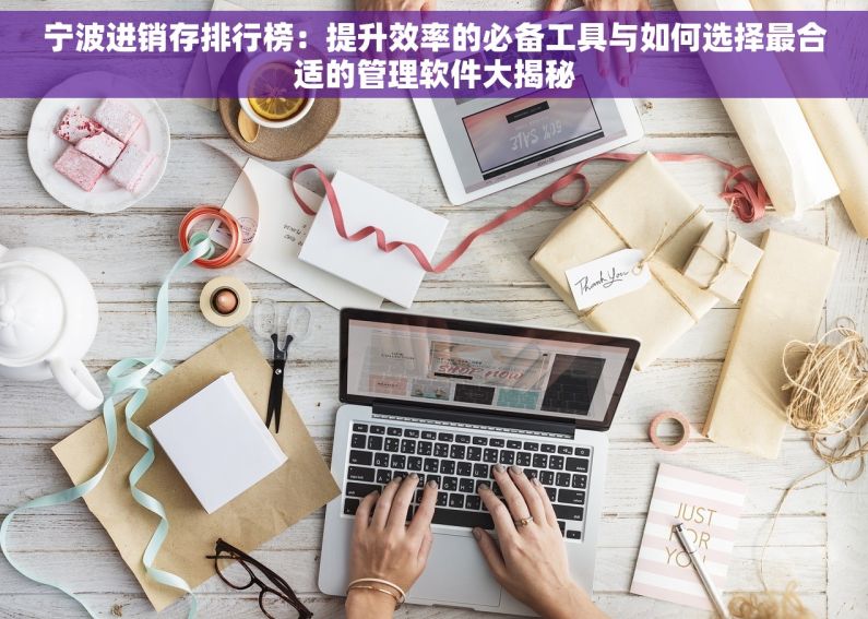 宁波进销存排行榜：提升效率的必备工具与如何选择最合适的管理软件大揭秘