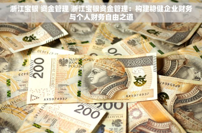 浙江宝银 资金管理 浙江宝银资金管理：构建稳健企业财务与个人财务自由之道
