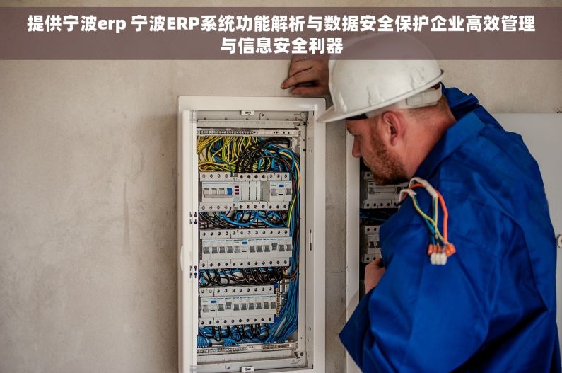 提供宁波erp 宁波ERP系统功能解析与数据安全保护企业高效管理与信息安全利器